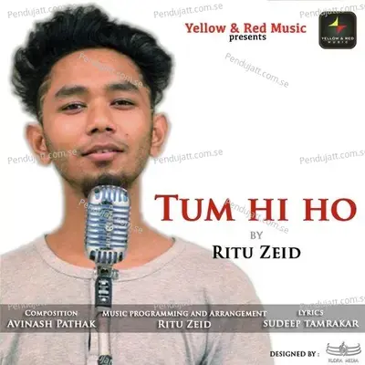 Tum Hi Ho - Ritu Zeid album cover 