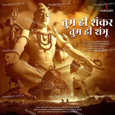 Tum Hi Shankar - Raja Hasan album cover 