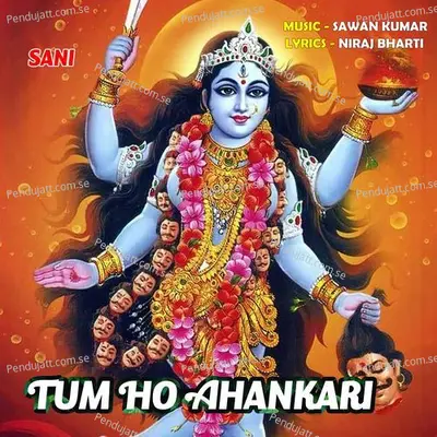 Tum Ho Ahankari - Sani album cover 