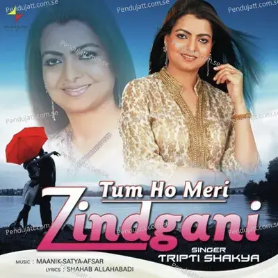 Tum Ho Meri Zindgani - Various Artists cover album