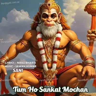 Tum Ho Sankat Mochan - Sani album cover 