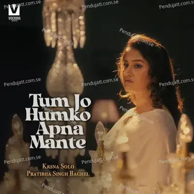 Tum Jo Humko Apna Mante - Krsna Solo album cover 