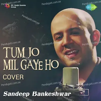 Tum Jo Mil Gaye Ho - Mika Singh album cover 