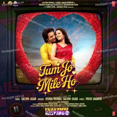 Tum Jo Mile Ho - Sachin-Jigar album cover 