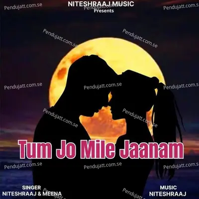 Tum Jo Mile Jaanam - Niteshraaj album cover 