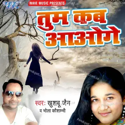 Mera Pyar Milade - Bhola Kaushambi album cover 