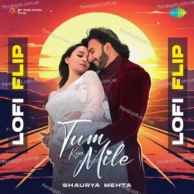 Tum Kya Mile - Lofi Flip - Shreya Ghoshal album cover 