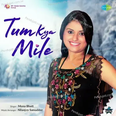 Tum Kya Mile - Mona Bhatt album cover 