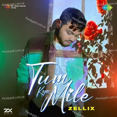 Tum Kya Mile - Zellix album cover 