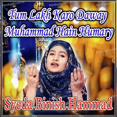 Tum Lakh Karo Daway Muhammad Hain Humary - Syeda Binish Hammad album cover 