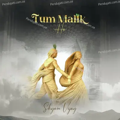 Tum Malik Ho - Shyam Vijay album cover 