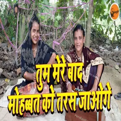 Tum Mere Baad Mohabat Ko Taras Jaoge - Ranjani Vishwakarma album cover 