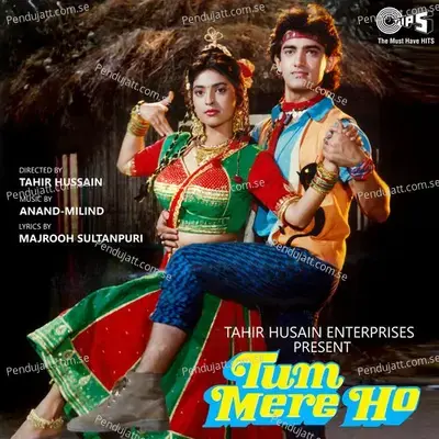 Tum Mere Ho - Anand-Milind cover album