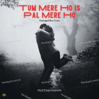 Tum Mere Ho Is Pal Mere Ho - Mustjab Hashmi album cover 