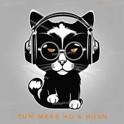 Tum Mere Ho X Husn - Mr Jyotish album cover 