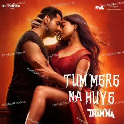 Tum Mere Na Huye - Sachin-Jigar album cover 