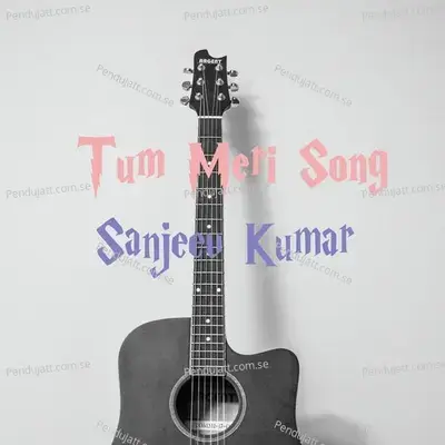 Tum Meri Song - Sanjeev Kumar album cover 