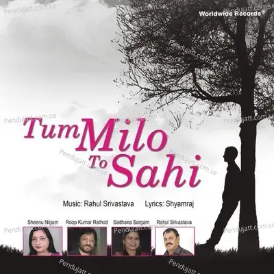 Tum Milo To Sahi - Rahul Srivastava cover album