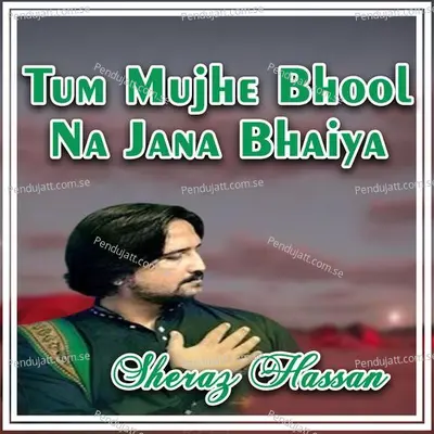 Tum Mujhe Bhool Na Jana Bhaiya - Sheraz Hassan album cover 