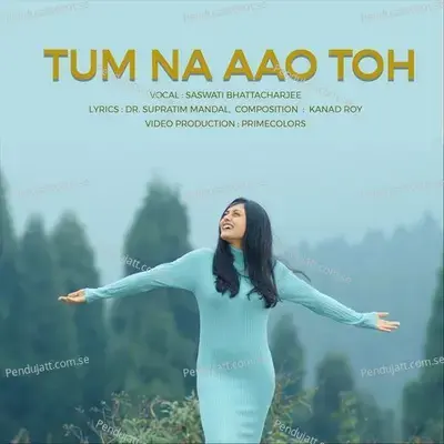 Tum Na Aao Toh - Dr. Supratim Mandal album cover 