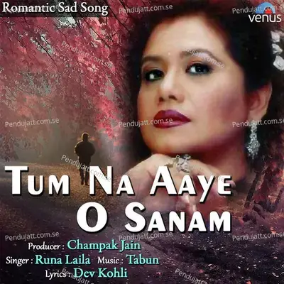 Tum Na Aaye O Sanam - Runa Laila album cover 