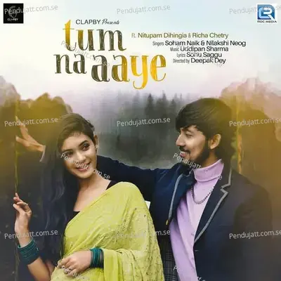 Tum Na Aaye - Soham Naik album cover 