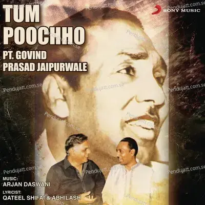 Tum Poochho Aur Main Na Bataoon - Pt. Govind Prasad Jaipurwale album cover 