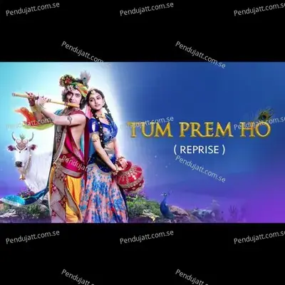 Tum Prem Ho - Mohit Lalwani album cover 