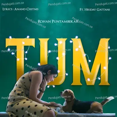 Tum - Rohan Puntambekar album cover 