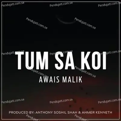 Tum Sa Koi - Awais Malik album cover 