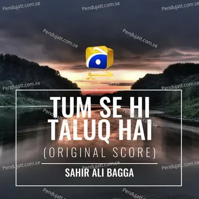 Tum Se Hi Taluq Hai - Sahir Ali Bagga album cover 