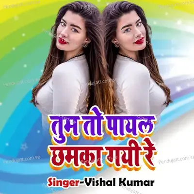 Tum To Payal Chhamka Gayi Re - Vishal kumar album cover 