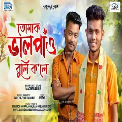 Tumak Val Paw Buli Kole - Madhab Nibir album cover 