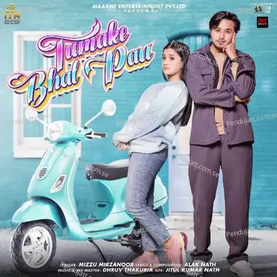 Tumake Bhal Pau - Mizzu Mirzanoor album cover 