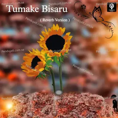 Tumake Bisaru Moi - Bijay Kumar Music album cover 