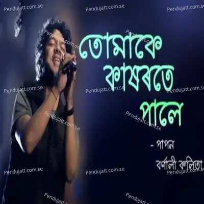 Tumake Kakhorote Pale - Papon album cover 