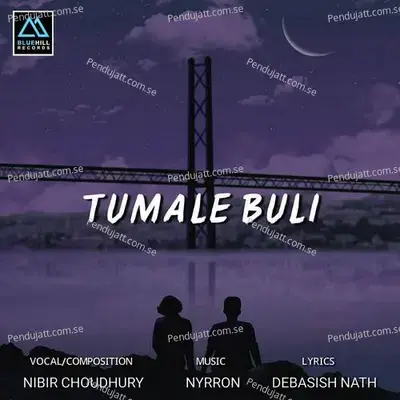 Tumale Buli - Nibir Choudhury album cover 