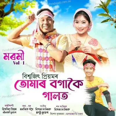 Tumar Bogakoi Galote - Biswajit Priyam album cover 