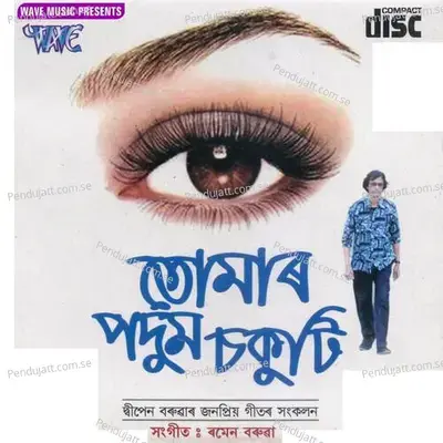 Alphuliya Kopophool - Sharvan Dabhi album cover 