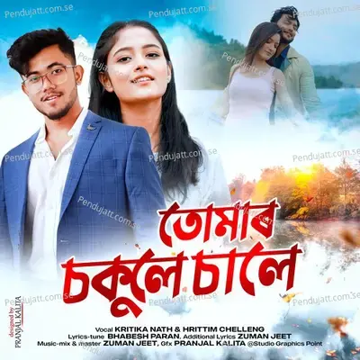 Tumar Sakule Sale - Kritika Nath album cover 