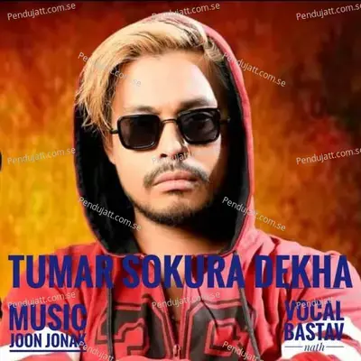 Tumar Sokura Dekha - Bastav Nath album cover 