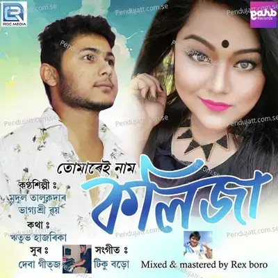 Tumarei Nam Kolija - Bhagyashri Roy album cover 