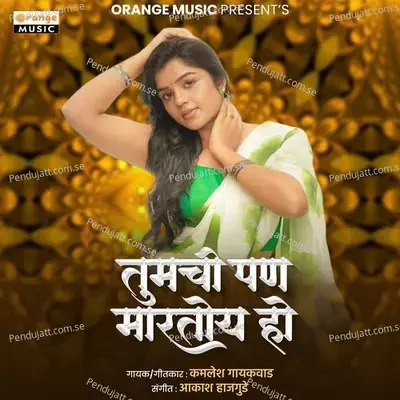 Tumchi Pan Martoy Ho - Kamlesh Gaikwad album cover 