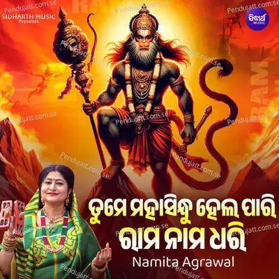 Tume Mahasindhu Hela Pari Rama Nama Dhari - Namita Agrawal album cover 