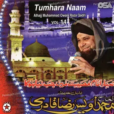 Lamyaati Nazeer-O-Kafi Nazarin - Alhajj Muhammad Owais Raza Qadri album cover 