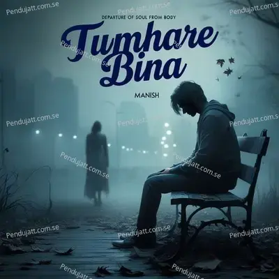 Tumhare Bina - Manish album cover 