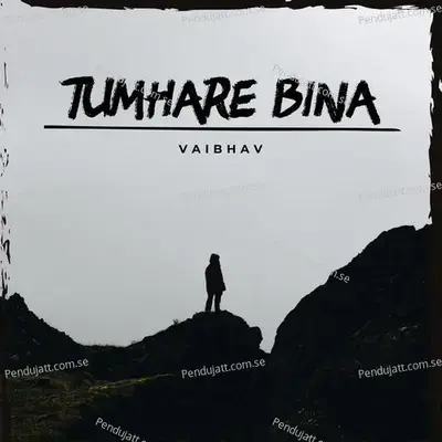 Tumhare Bina - Vaibhav album cover 