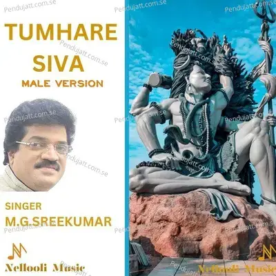 Tumhare Siva - M.G. Sreekumar album cover 