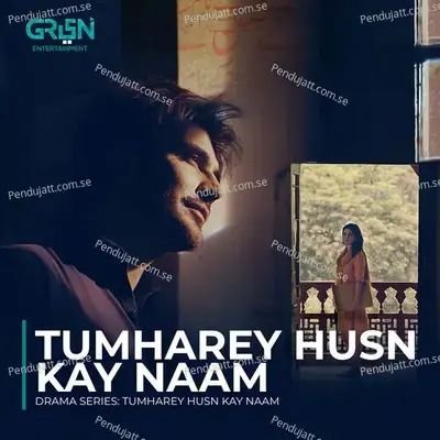 Tumharey Husn Kay Naam - Zenab Fatimah Sultan album cover 