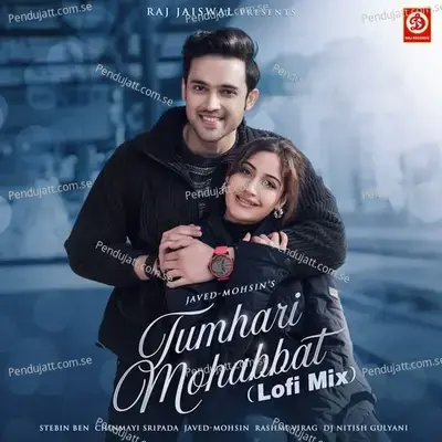 Tumhari Mohabbat (Lofi Mix) - Javed-Mohsin